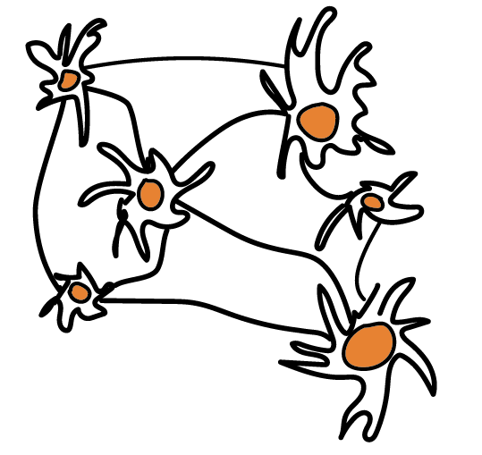Brain