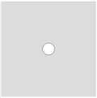 White circle